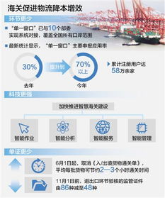 货物贸易窗口是什么