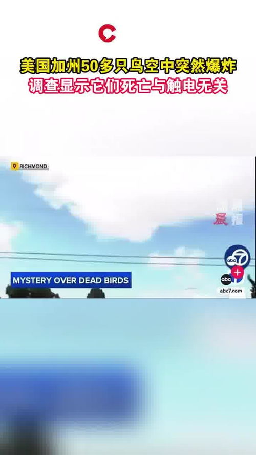 DeepSeek母公司员工套取上亿元被抓