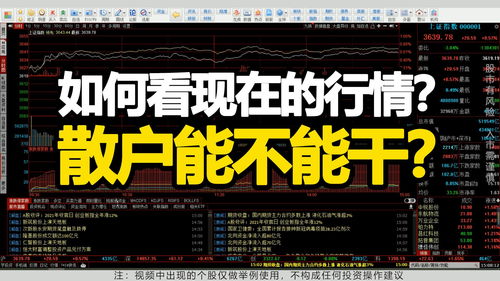大宗贸易做什么好呢赚钱