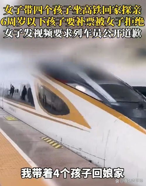 单亲妈妈带4娃坐高铁被要求补票