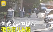 小区下水管脱落砸中婴儿车 当地通报