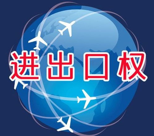 什么叫贸易进出口