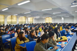 西财贸易属于什么学院