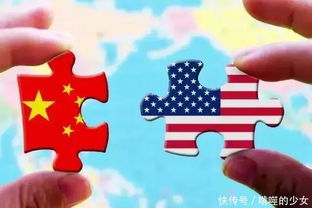 贸易经验应该注意什么