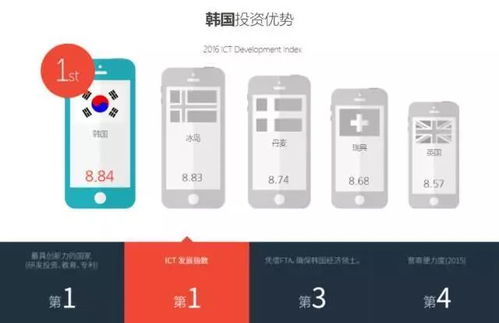 IR在贸易里是什么