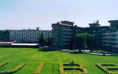 贸易大学包括什么专业