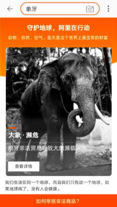 动物贸易是什么套路类型
