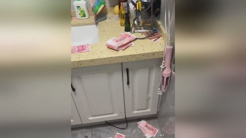 男子藏私房钱被自家天花板“出卖”